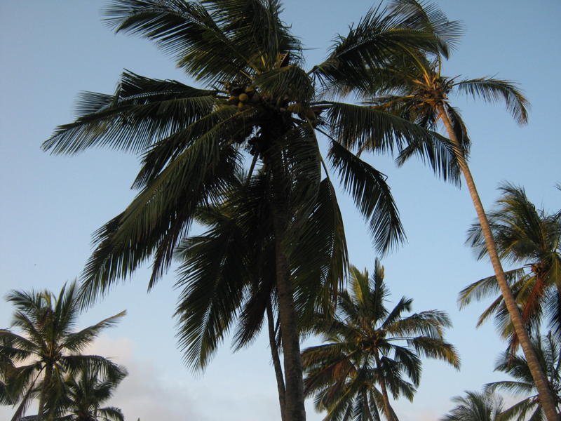 Kilifi Plot For Sale